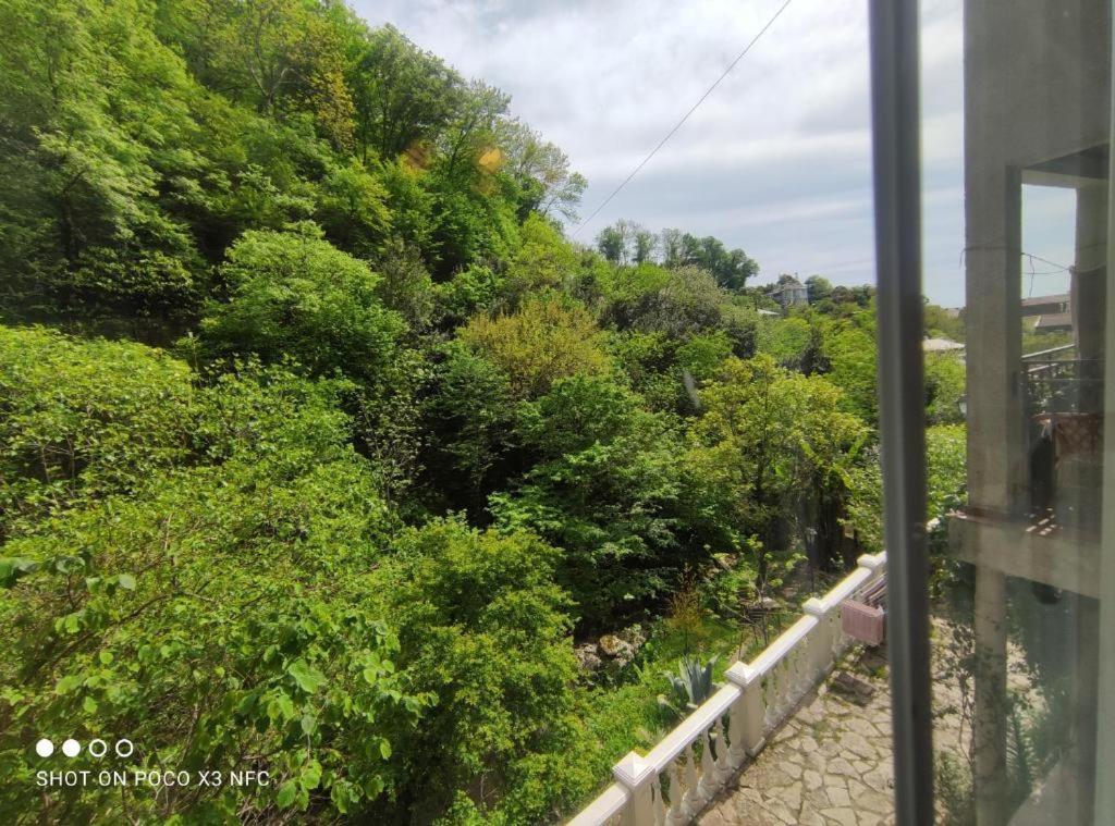 Guest House Chalet Agave Gagra Exterior photo