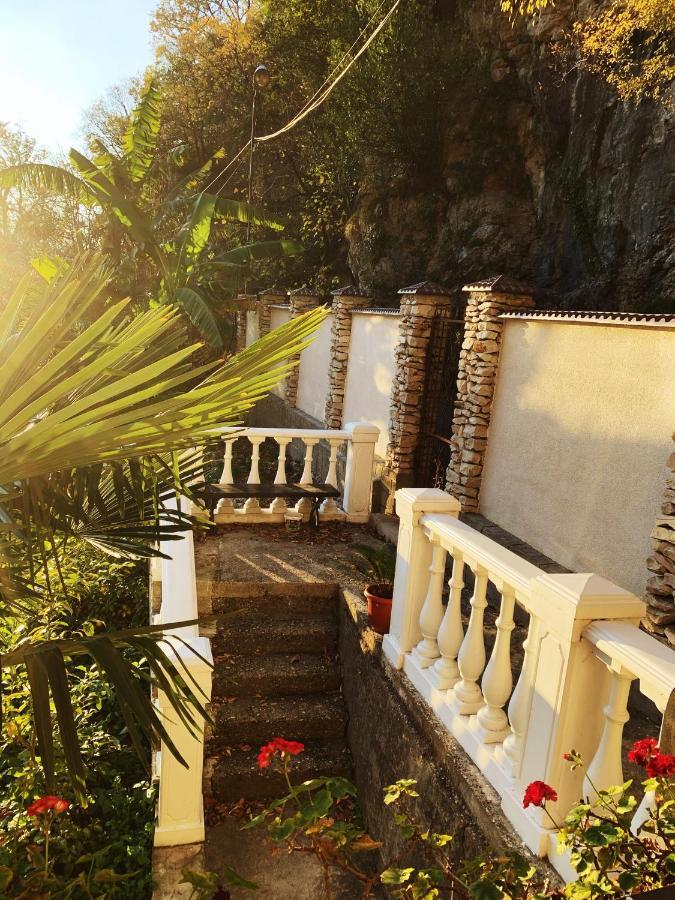Guest House Chalet Agave Gagra Exterior photo
